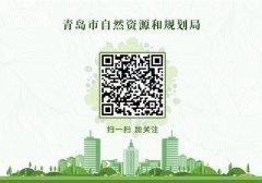 青岛市天然资本和规划局关于对青岛起龙发成品